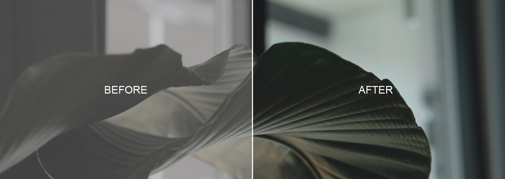 Cinematic LUTs